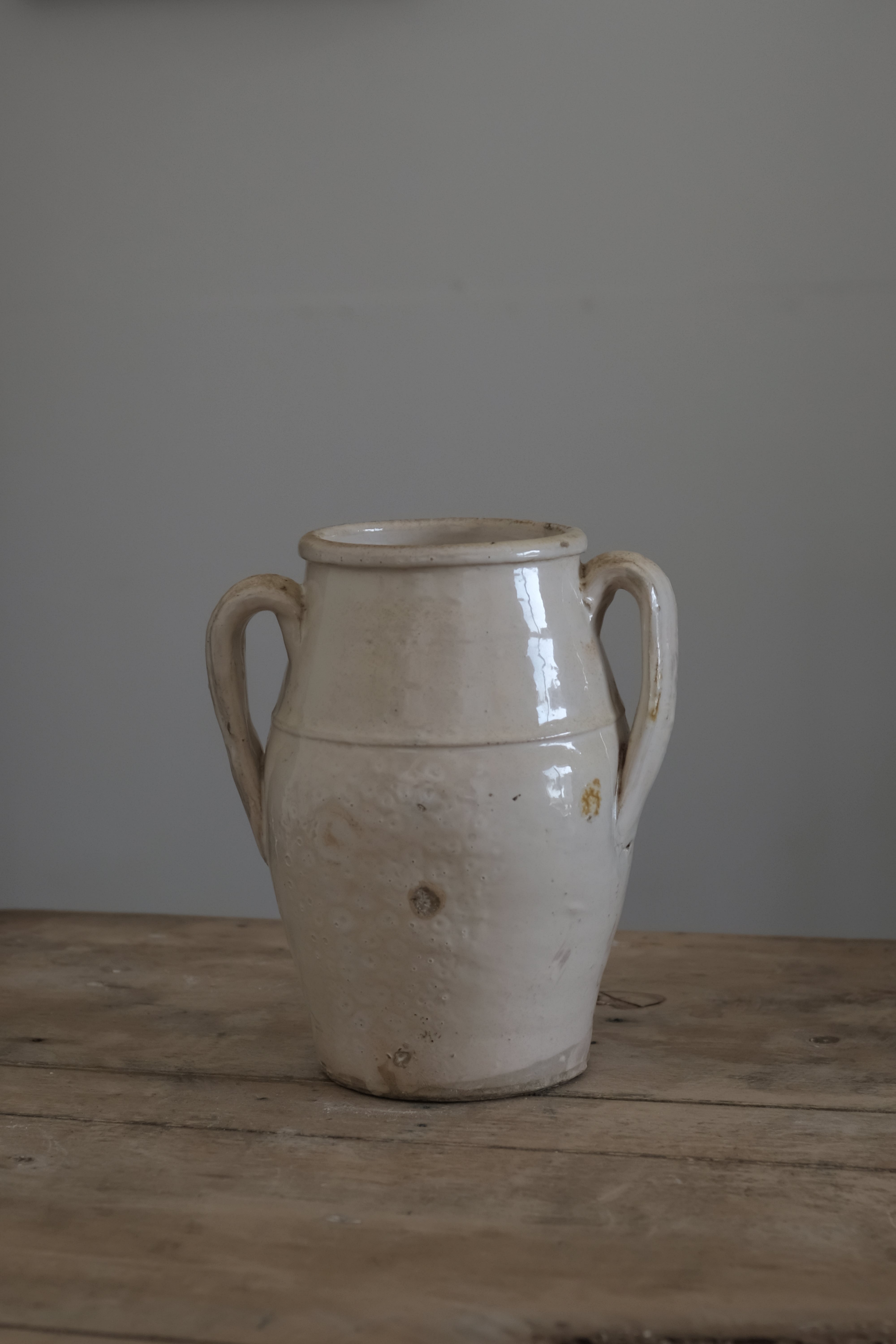  19世紀 イタリア プーリア グロッターリエ 食糧保存壺 AN-24049, ,- ambiant