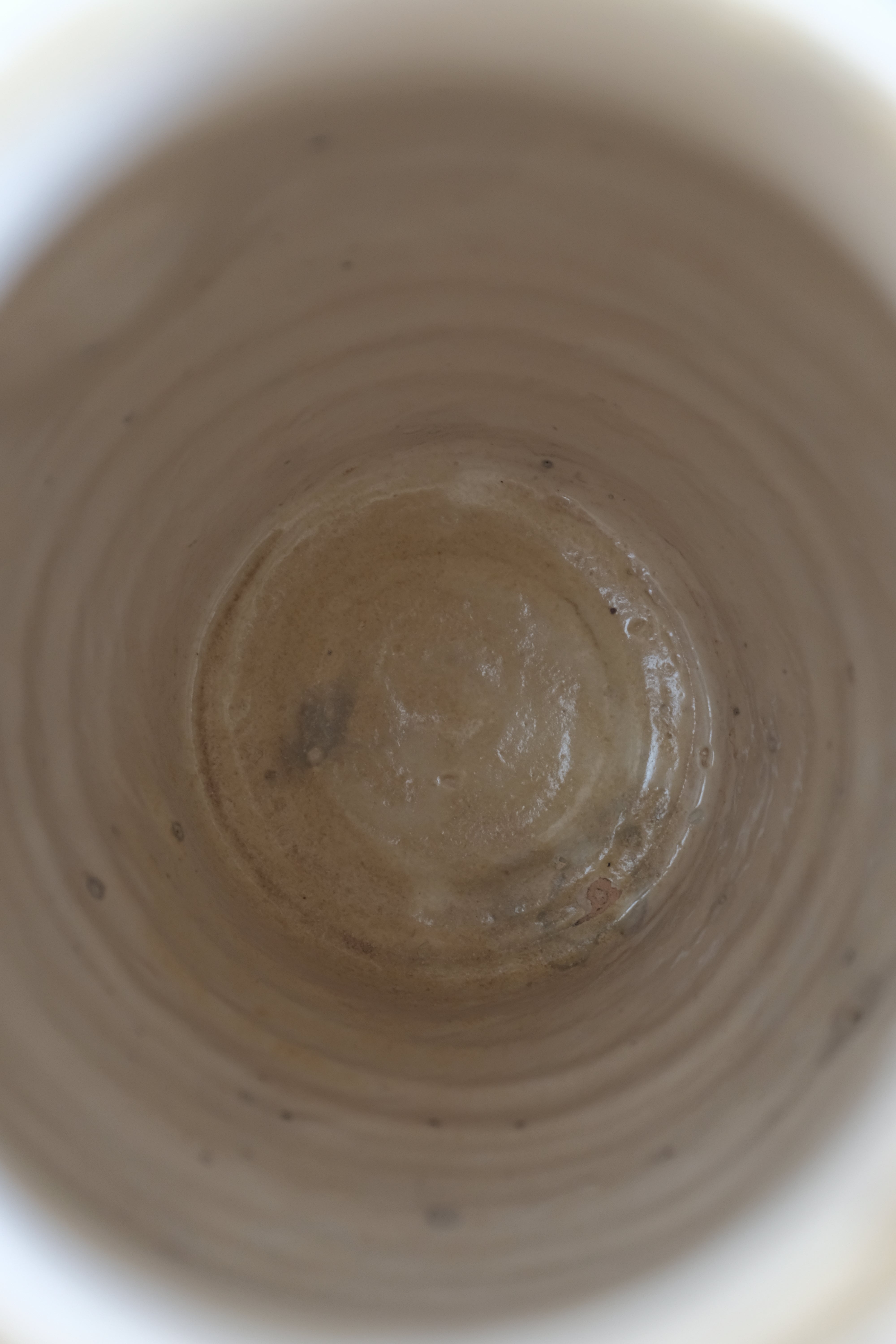  19世紀 イタリア プーリア グロッターリエ 食糧保存壺 AN-24049, ,- ambiant