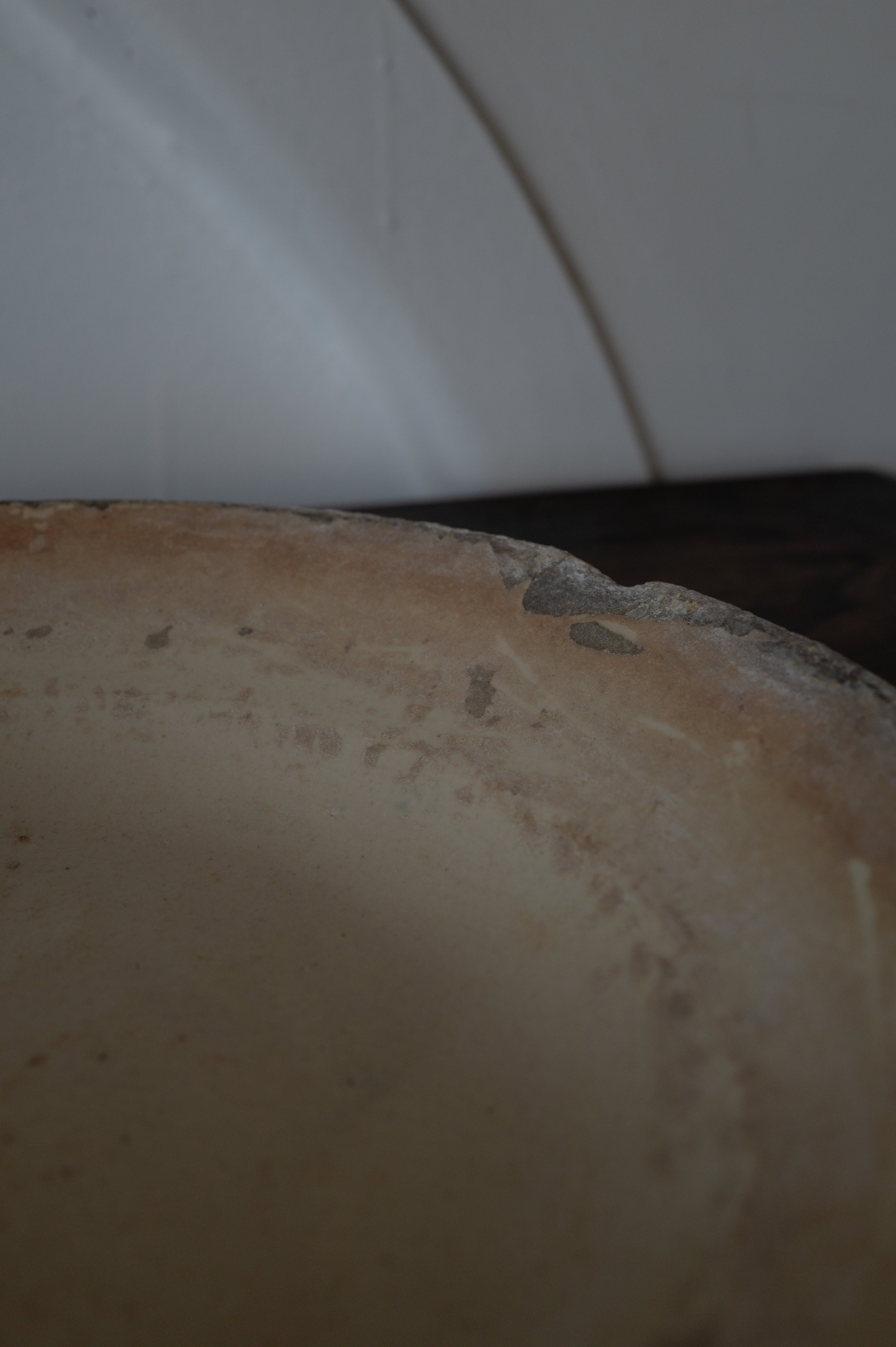 プーリア アンティーク 陶器 皿 19世紀 グロッターリエ AN-24142