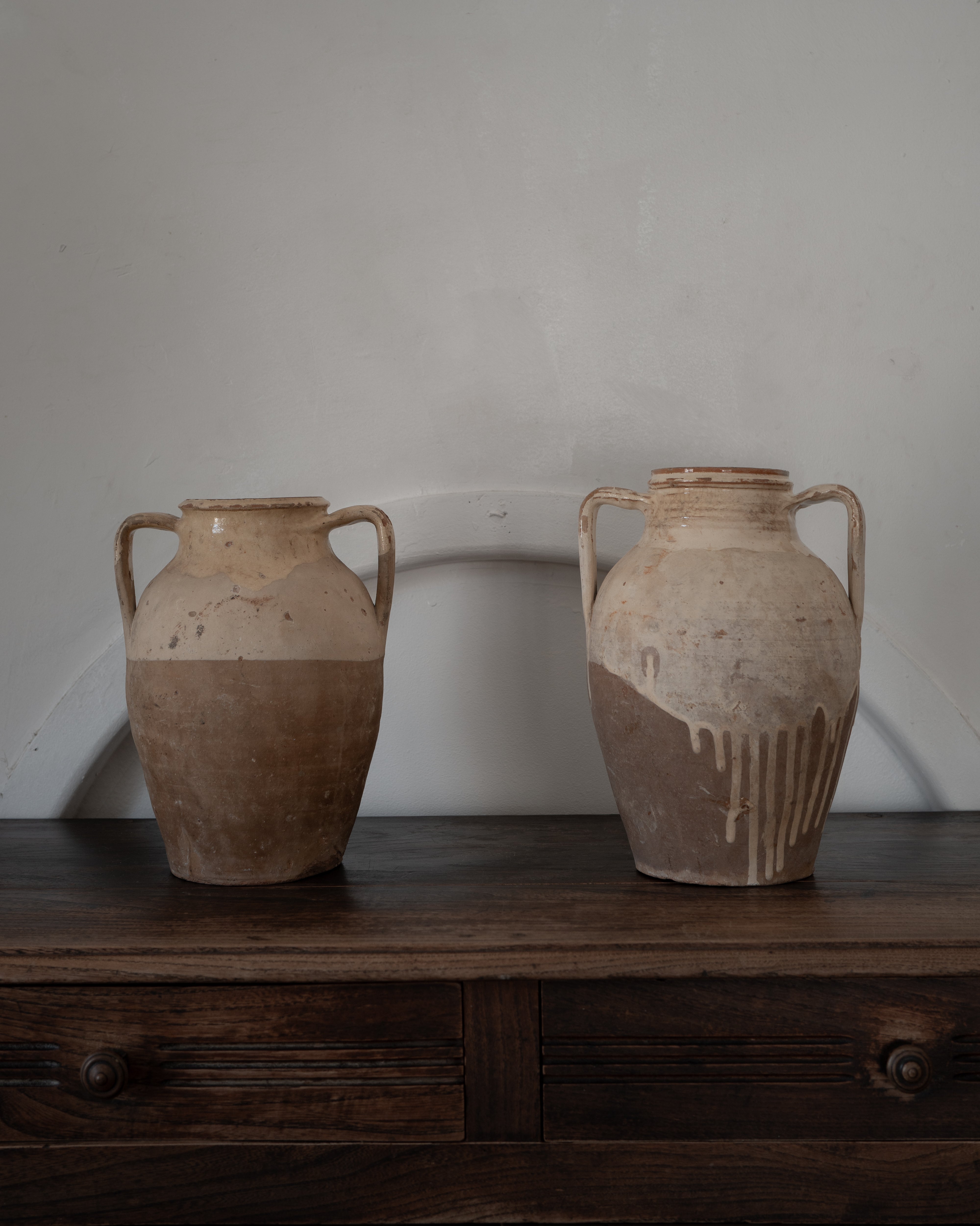  19世紀 イタリア トスカーナ 保存壺 AN-25027, ,- ambiant