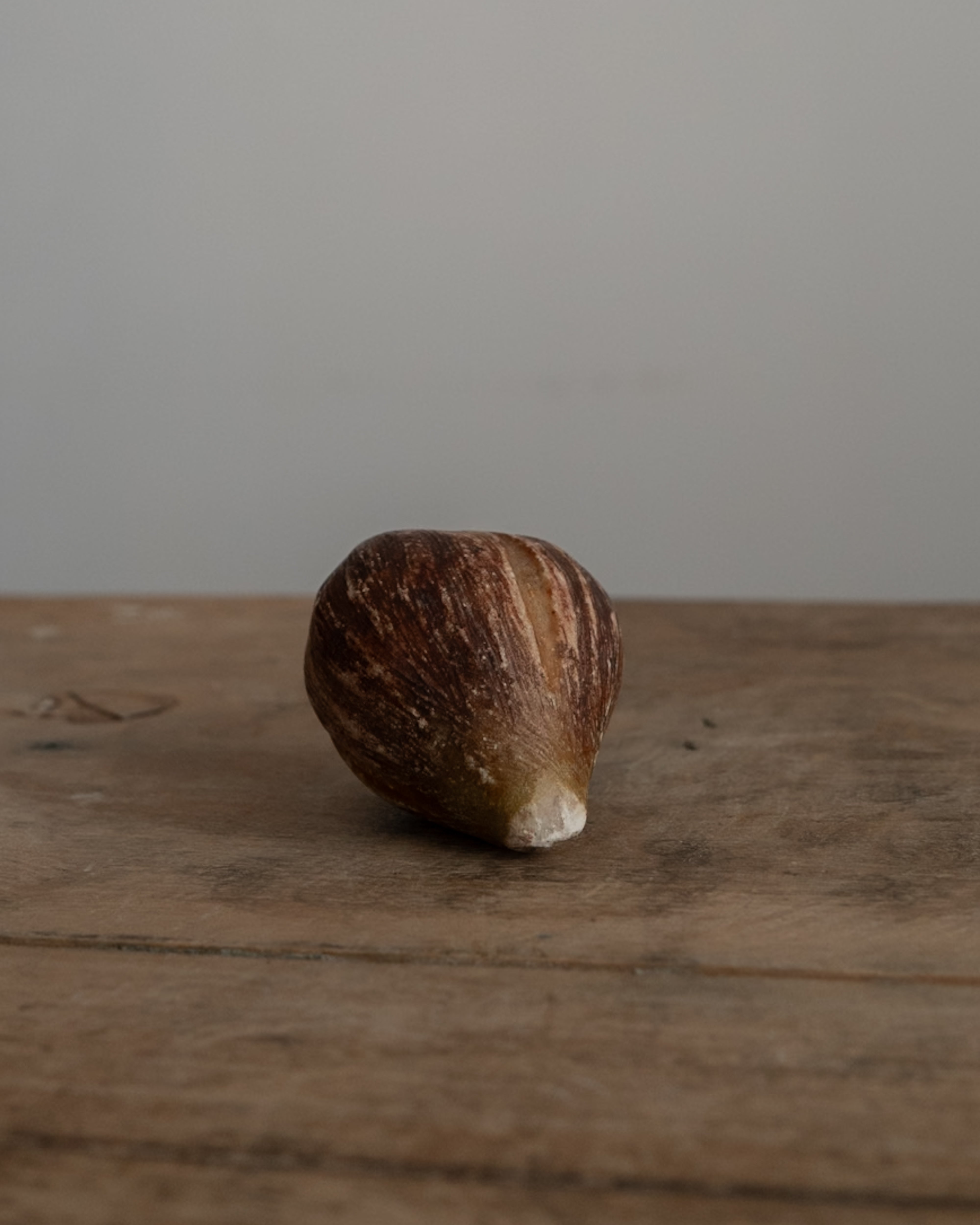 イタリア アンティーク 陶器 オブジェ イタリア AN-25163