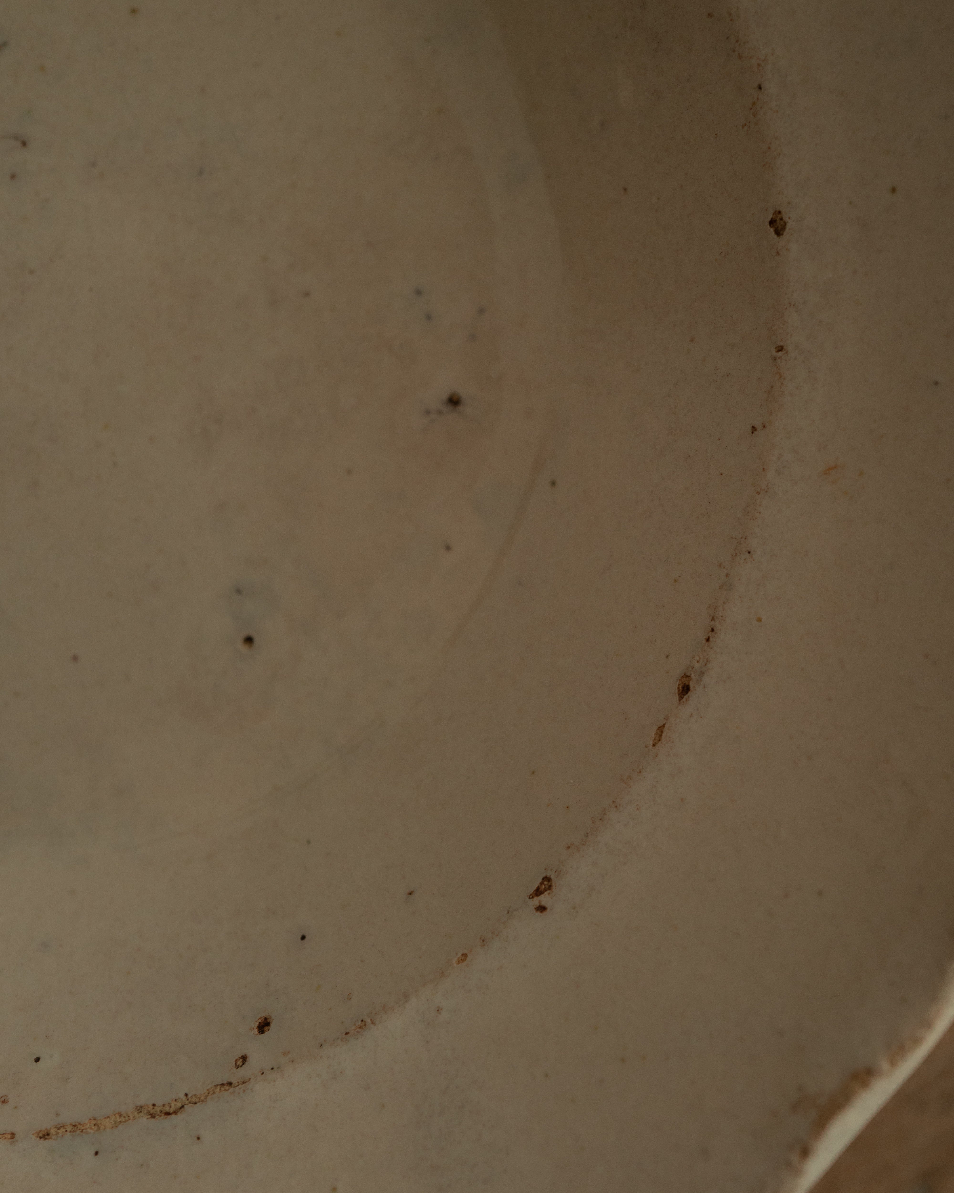 プーリア アンティーク 陶器 皿 19世紀 グロッターリエ AN-25194